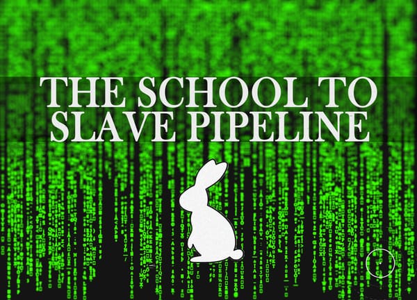 The School to Slave Pipeline
